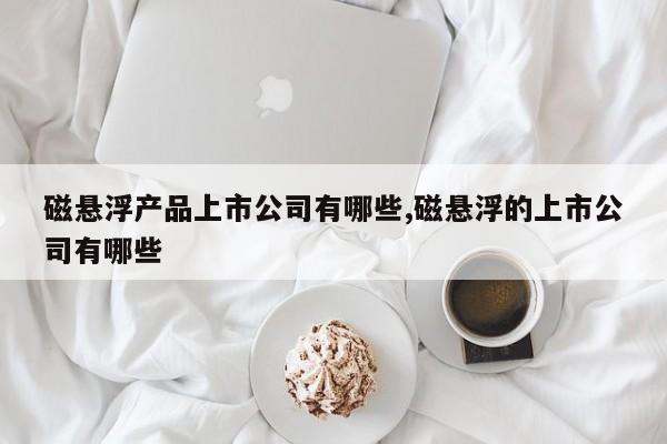 磁悬浮产品上市公司有哪些,磁悬浮的上市公司有哪些