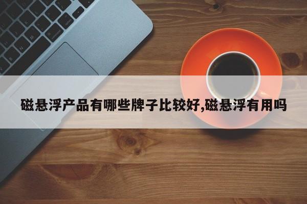 磁悬浮产品有哪些牌子比较好,磁悬浮有用吗