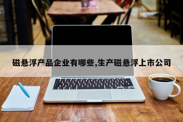 磁悬浮产品企业有哪些,生产磁悬浮上市公司
